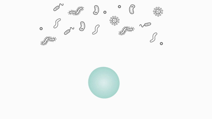 Animation illustrating a microbubble collapsing to clean a surface
