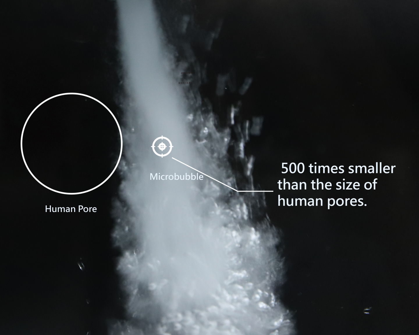 Scale comparison between a microbubble and a human pore