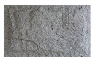 Mushroom Stone SAD-3489 application 6
